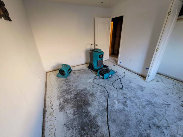 Best Water damage restoration experts  in Brewster Heights, NY