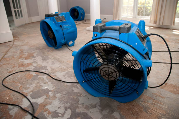  Brewster Heights, NY Water damage restoration Pros