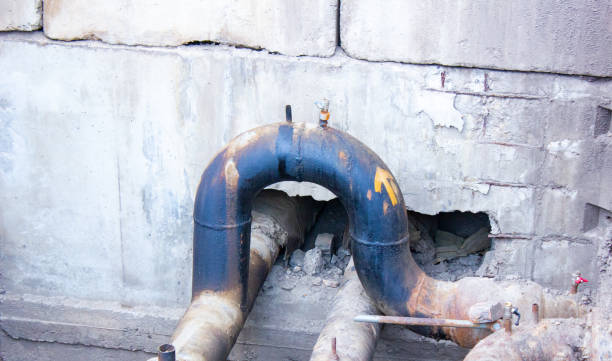 Best Water damage restoration near me  in Brewster Heights, NY